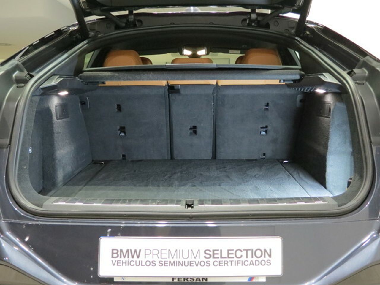 Foto BMW X6 12