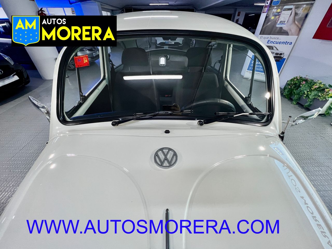 Foto Volkswagen Beetle 15