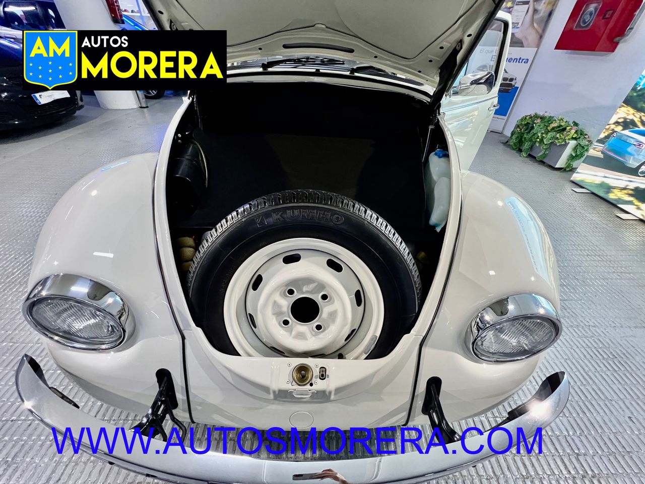 Foto Volkswagen Beetle 46